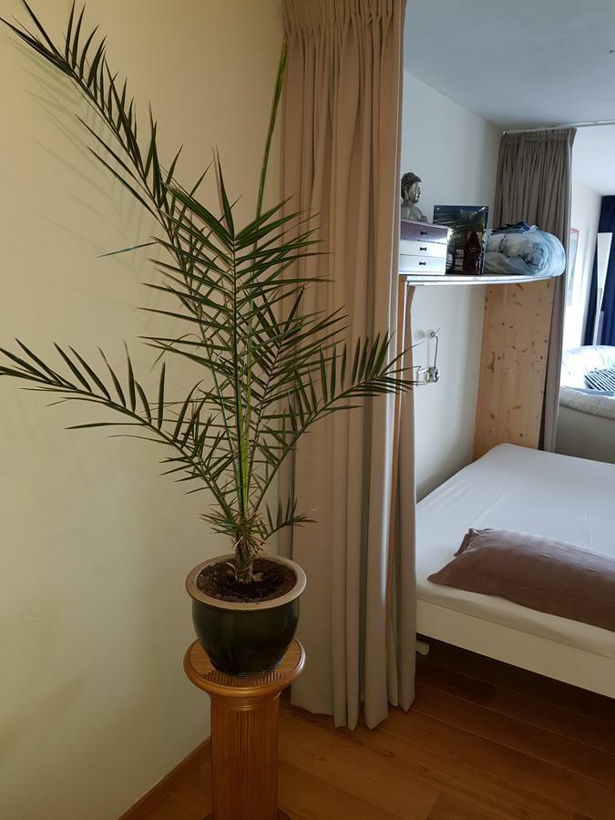 Exclusive Appartement